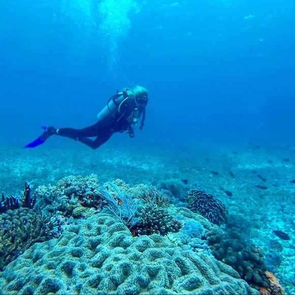 Meet your Posher, Annie - Picture 15 of 16